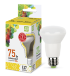 Лампа светодиодная LED-R63-standard  ASD (8Вт 230В Е27 3000К 720Лм)