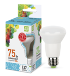 Лампа светодиодная LED-R63-standard  ASD (8Вт 230В Е27 4000К 720Лм)