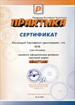 Набор насадок для МФИ ПРАКТИКА 4 шт комбинированный №2 в блистере